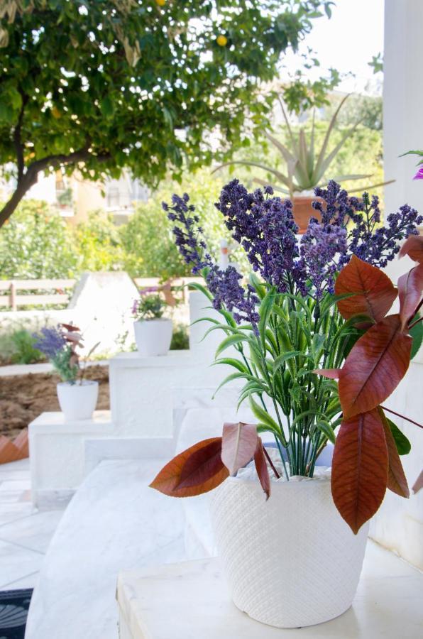 Garden House Palaio Faliro Афіни Екстер'єр фото