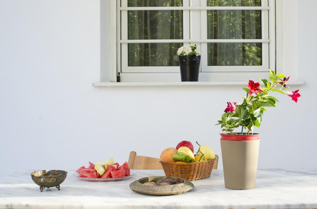 Garden House Palaio Faliro Афіни Екстер'єр фото